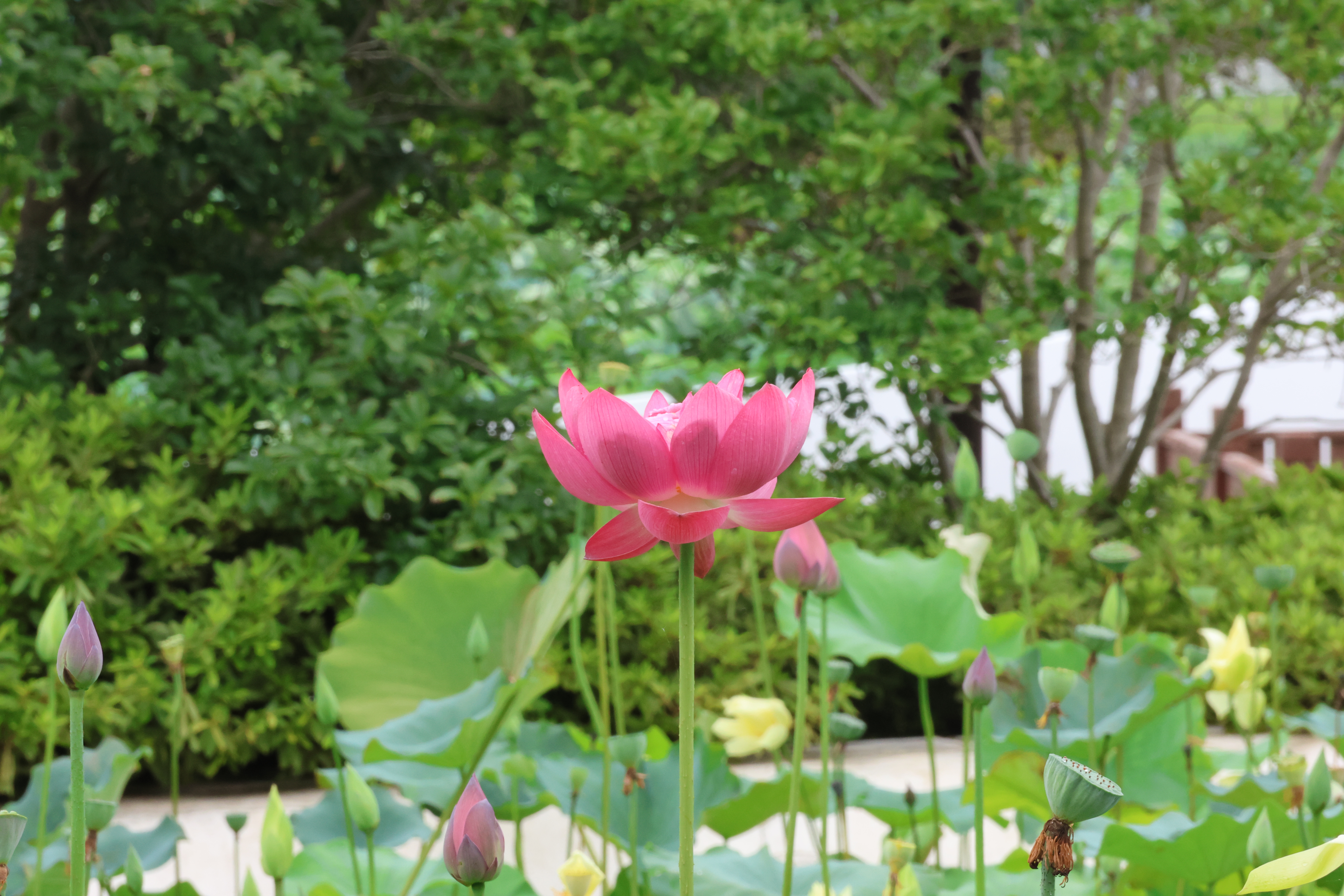 苏州重元寺 (20)